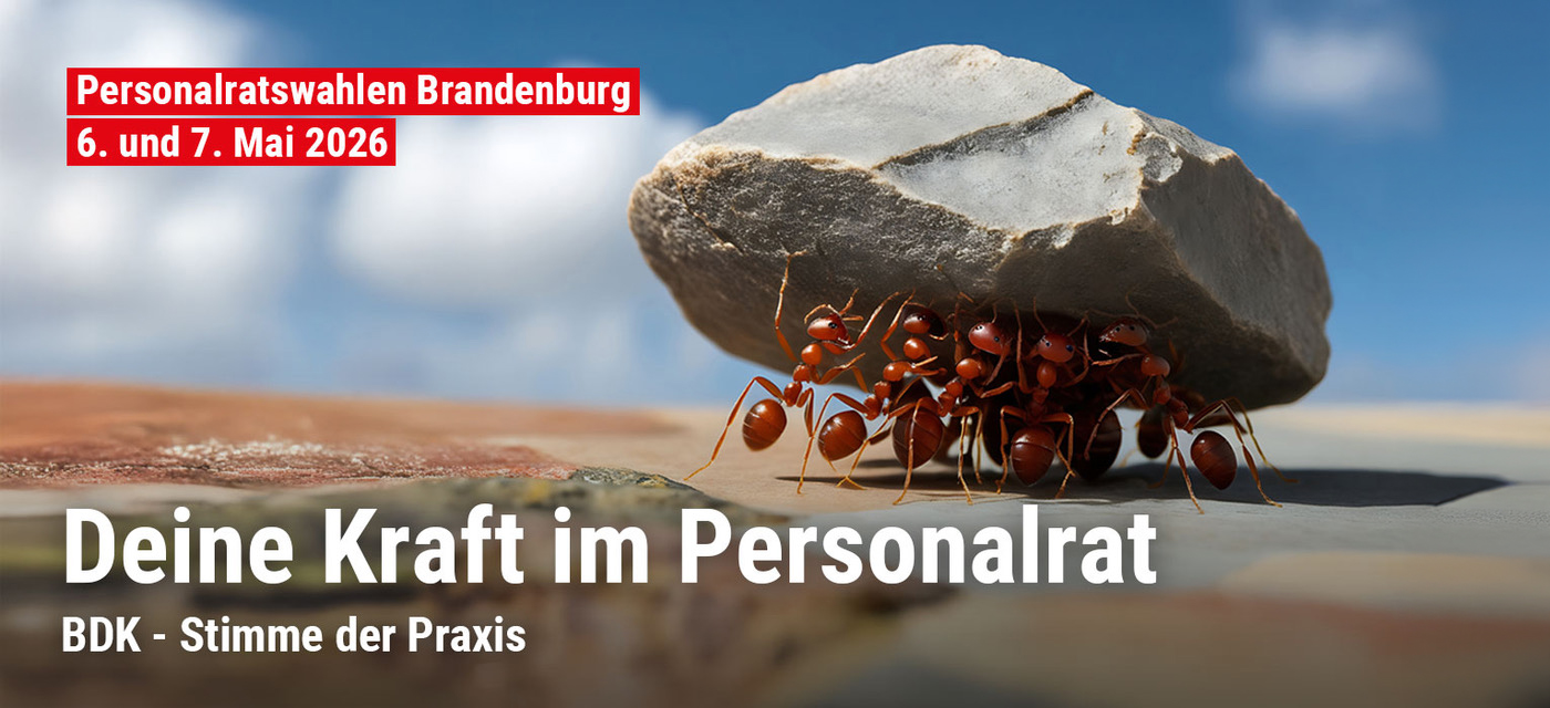 BDK - Stimme der Praxis
