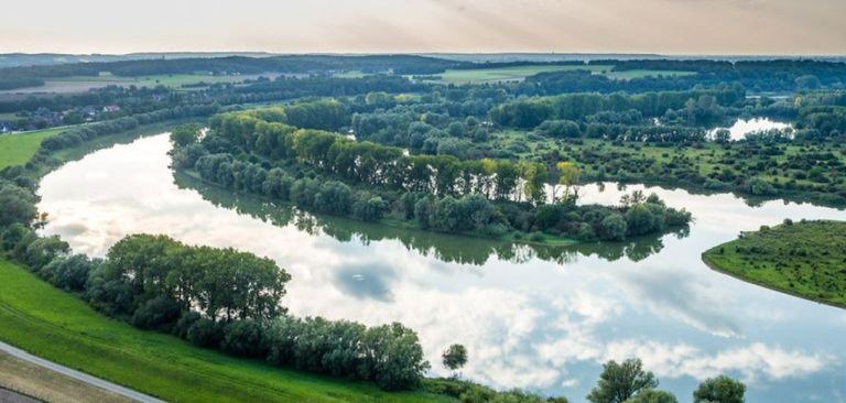 rhein.jpg
