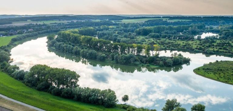 rhein.jpg