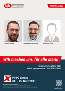 RP_20210208_PR PD Landau.png