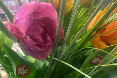 Aktion zum internationalen Frauentag Aktion zum internationalen Frauentag