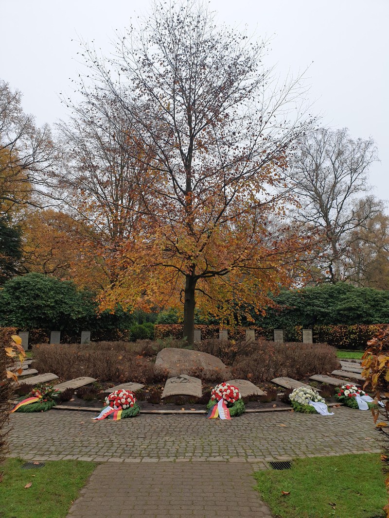 HH_20221113_JR_Blutbuche2