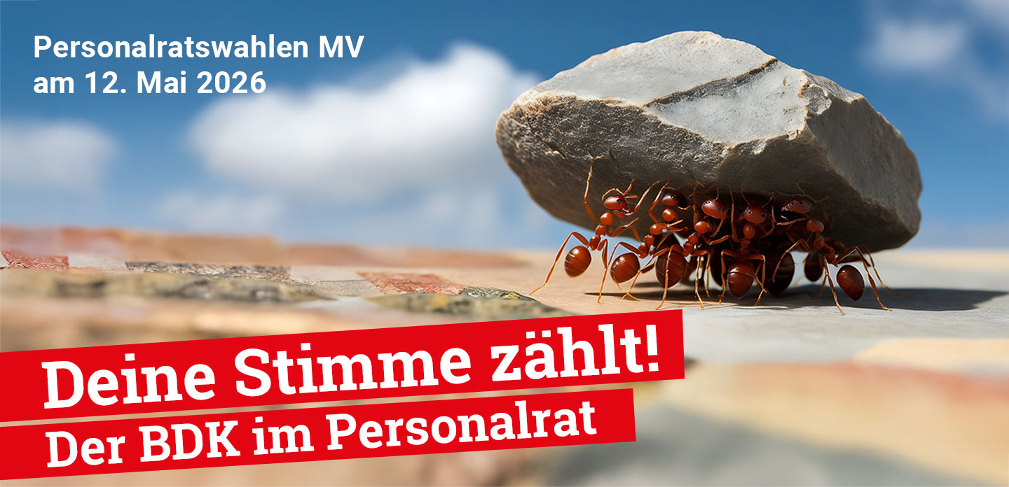 MV_20260430-Header-PRwahl-26.jpg