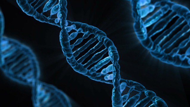 Fachtagung zur erweiterten DNA-Analyse