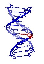 Rechtliche Erweiterung der DNA-Analyse