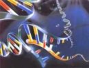Tausende DNA-Spuren liegen auf Halde