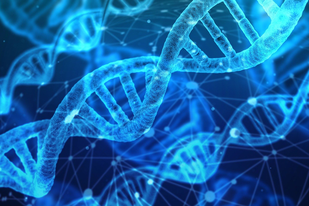 Gerd Altmann - Pixabay