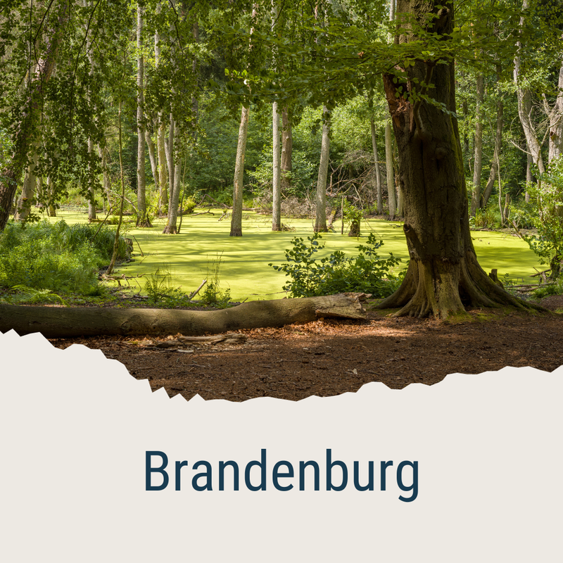 Brandenburg.png
