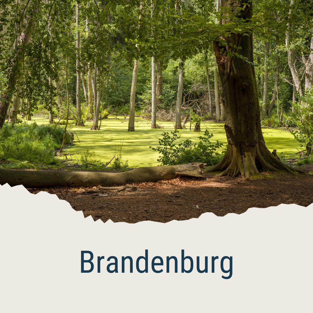 Brandenburg.png
